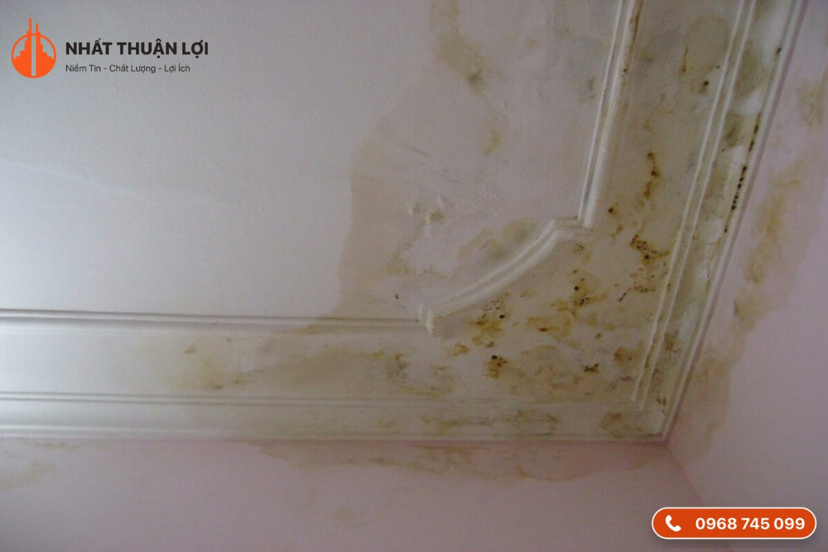 Nhà mới xây bị thấm tường Nhà mới xây bị thấm tường